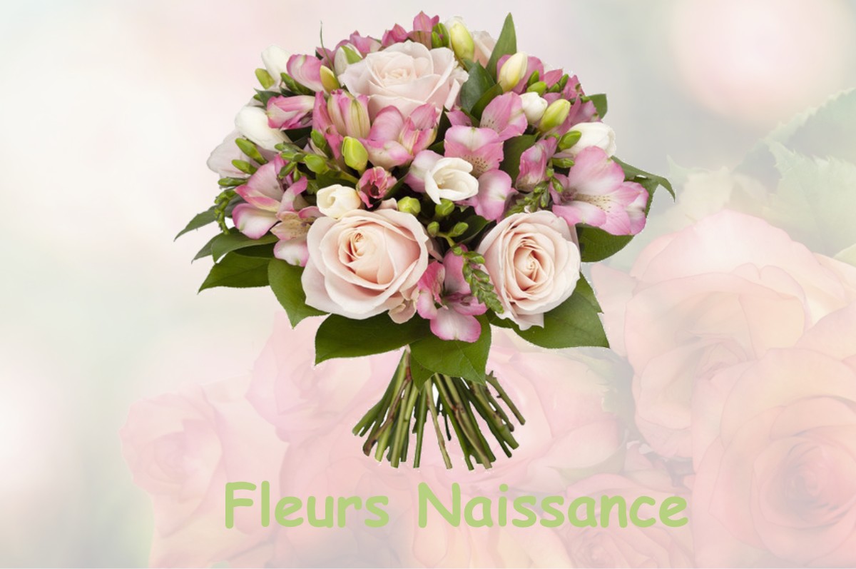 fleurs naissance RUY