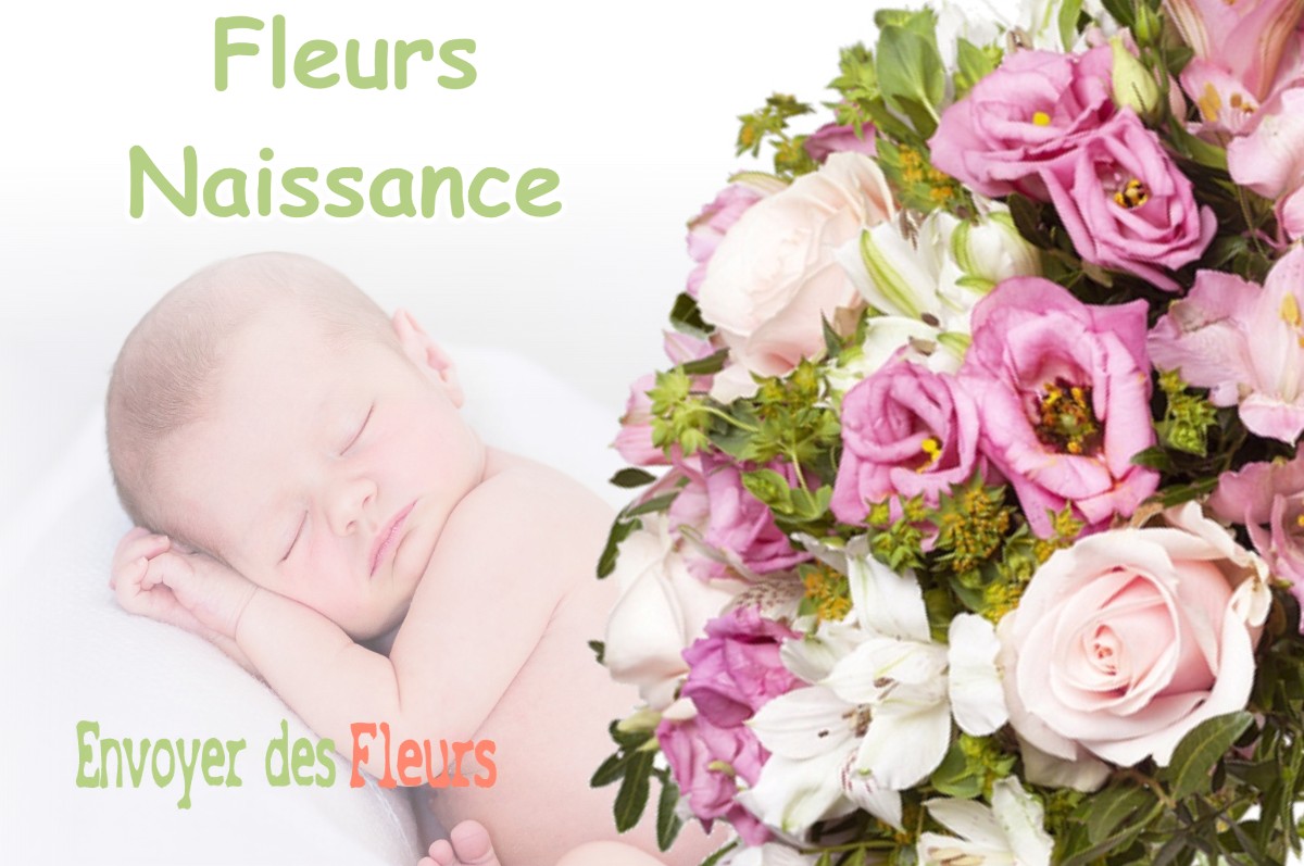 lIVRAISON FLEURS NAISSANCE à RUY